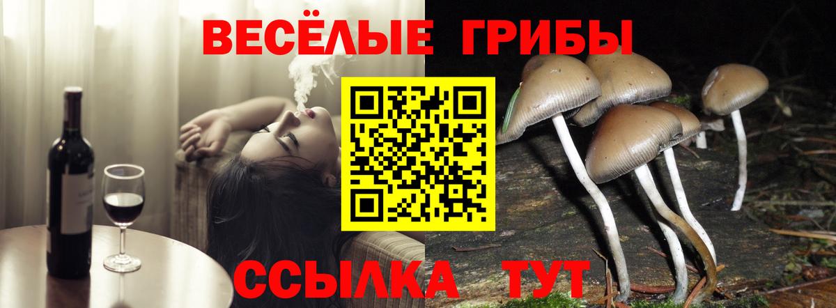 купить закладку  Вход с VPN  Сарапул  Галлюциногенные грибы Psilocybine cubensis 